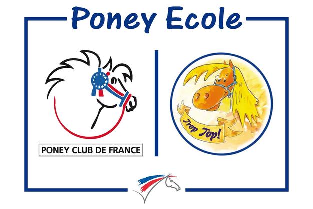 Poney ecole